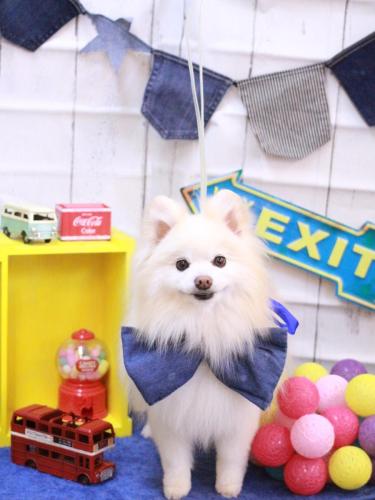 20230412おまるくん